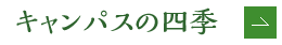 キャンパスの四季