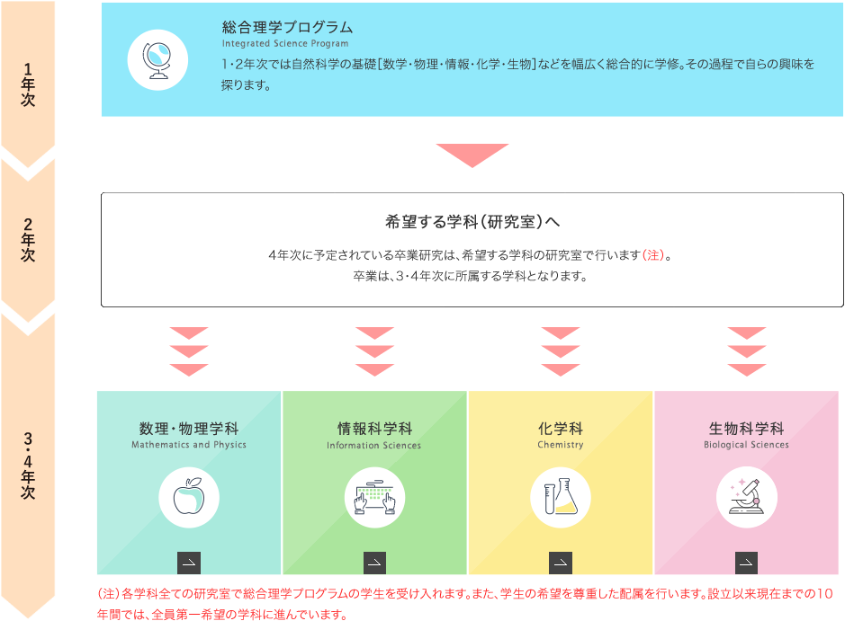 新4年間の学修の流れ